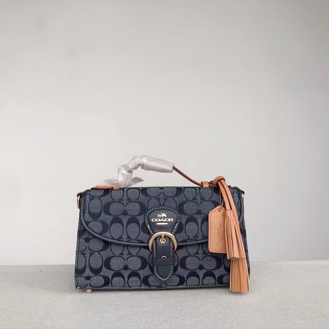 Coach Tnphandie Kleo Crossbody Bag