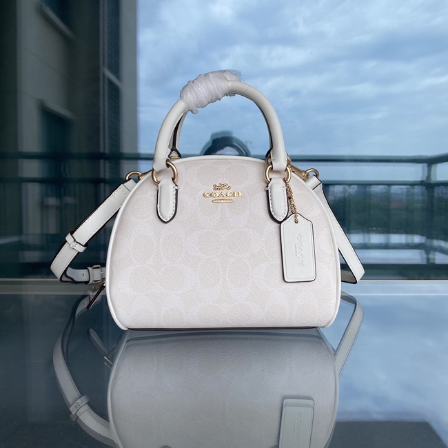 Coach Sydney Messenger Bag Code: Ca591