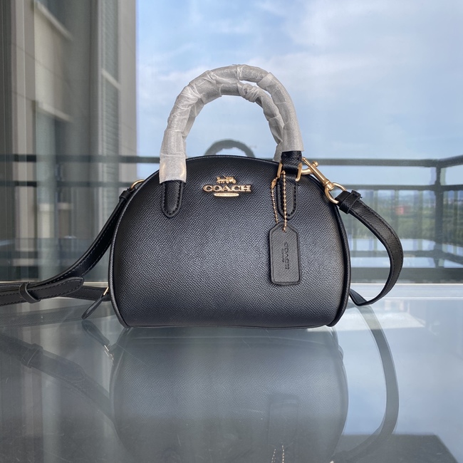 Coach Sydney Messenger Bag Code: Ca591