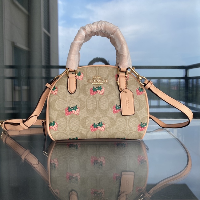 Coach Sydney Messenger Bag Code: Ca591