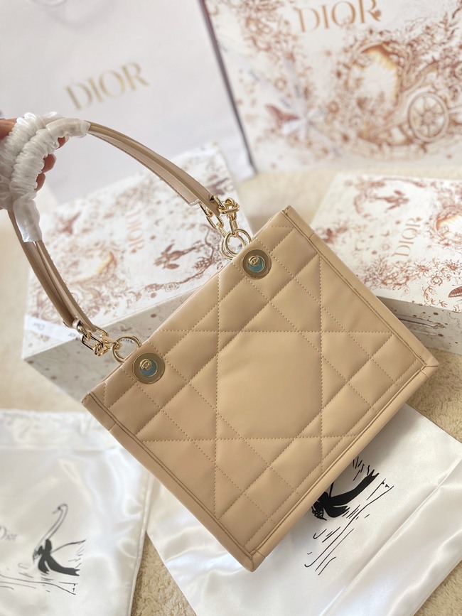 Dior Shoulder Hand Tote Bag