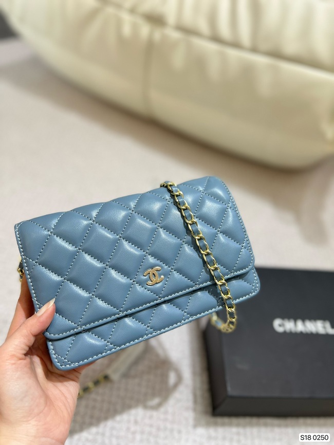 Chanel Sheepskin Crossbody Bag