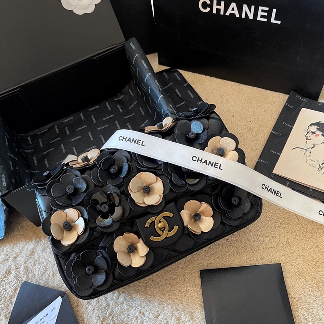 Chanel Crossbody Bag
