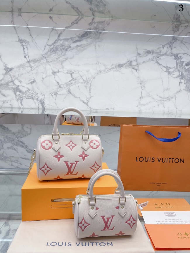 Louis Vuitton Speedy Pillow Bag