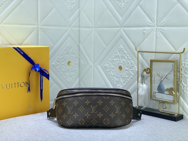 Louis Vuitton Campus Belt Bag Code: N40298