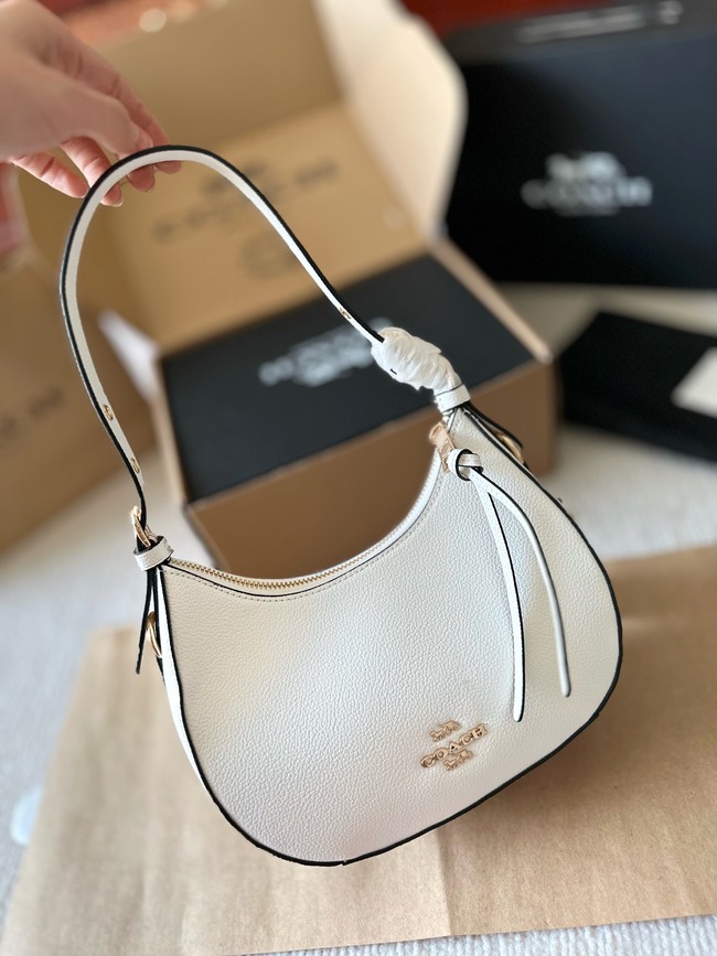 Coach Paytonhobo New Classic Crescent Bag