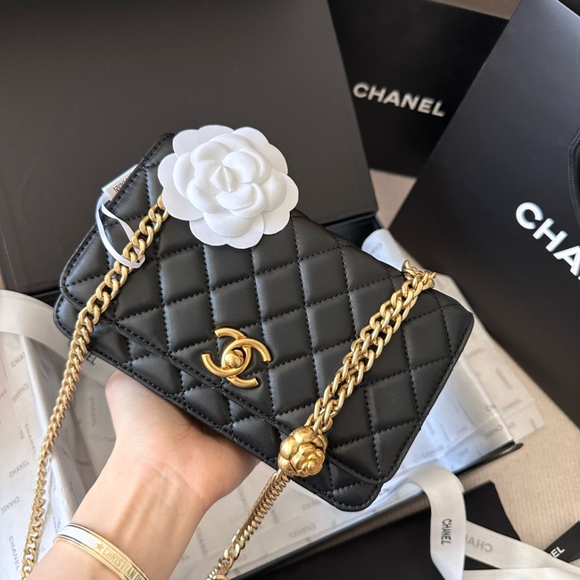 Chanel Practical And Versatile Crossbody Bag
