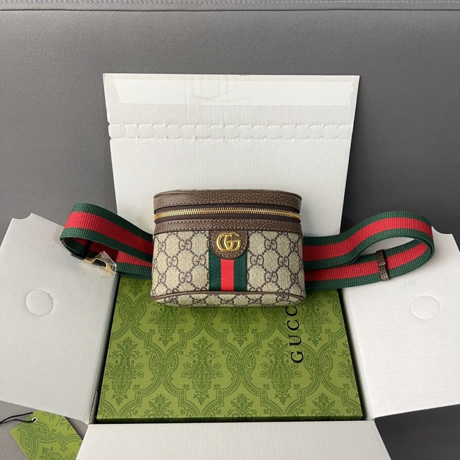 Gucci Ophidia Series Belt Bag