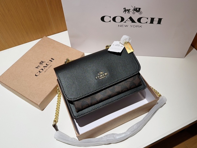 Coach Klare Accordion Bag Chain Bag