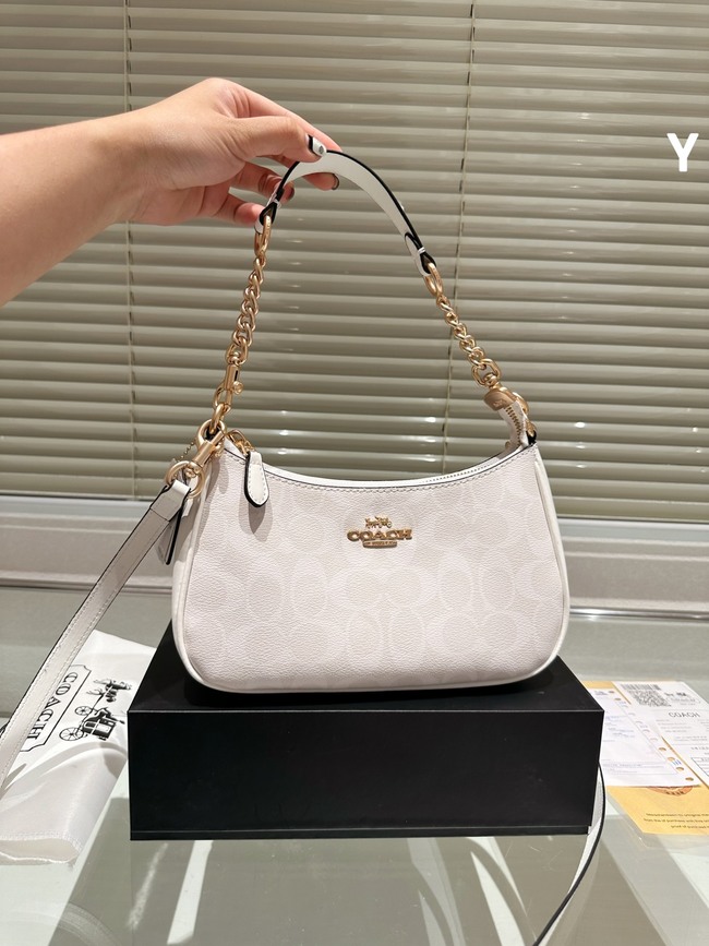 Coach Teri Crossbody Bag