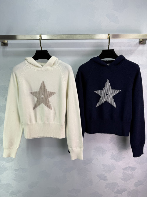 Dior Alpine Series Hooded Pullover with Logo Jacquard Back