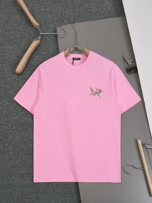 ArcTeryx Arcteryx Print Round Neck Cotton T-Shirt