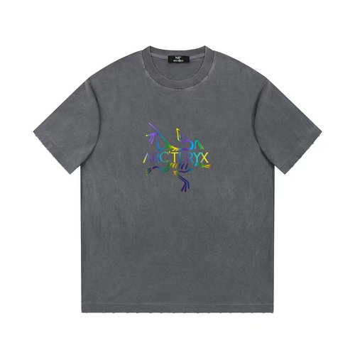 ArcTeryx Cotton Vintage Crew Neck T-Shirt in Multiple Colors