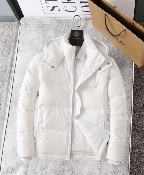 Louis Vuitton Premium Down Jacket Filled with 90% Down, Featuring Classic Logo and Color