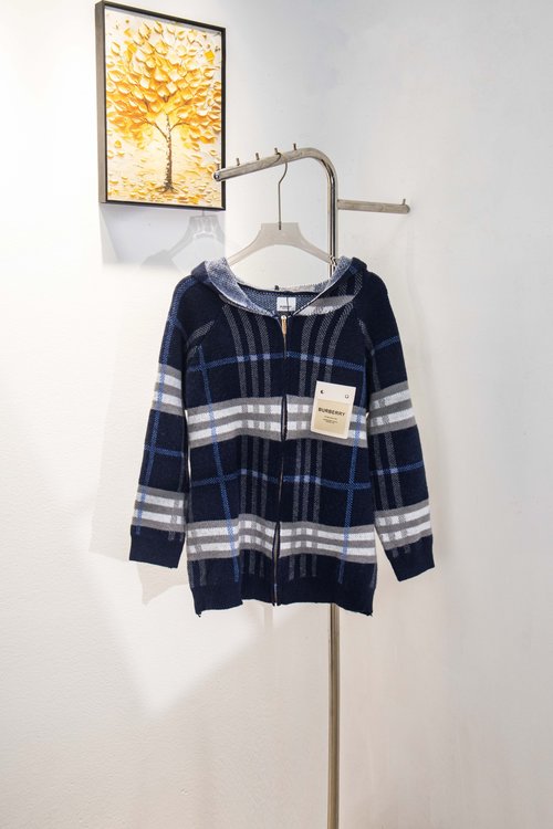 Burberry Classic Zip-up Hooded Blue Check Wool Jacket