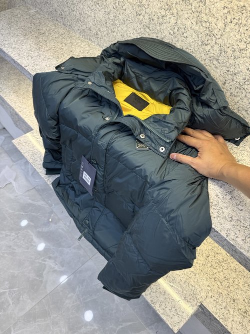 Dior Detachable Hood Shiny Down Jacket