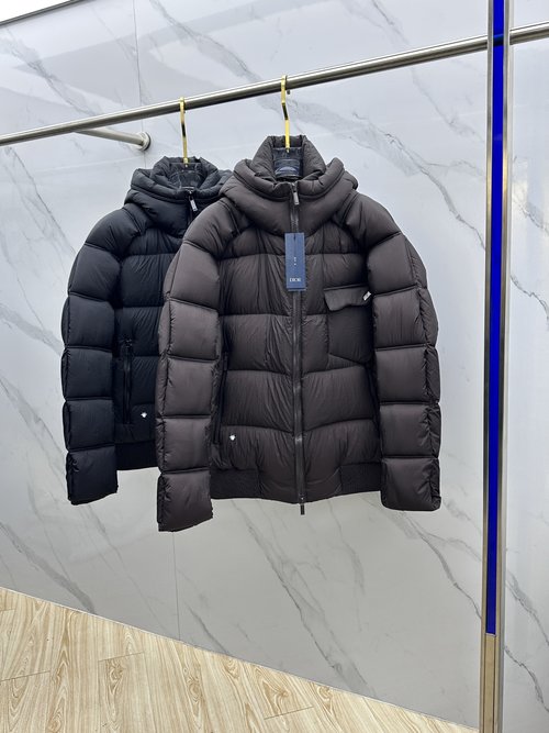 Dior Classic Logo Hooded Down Jacket