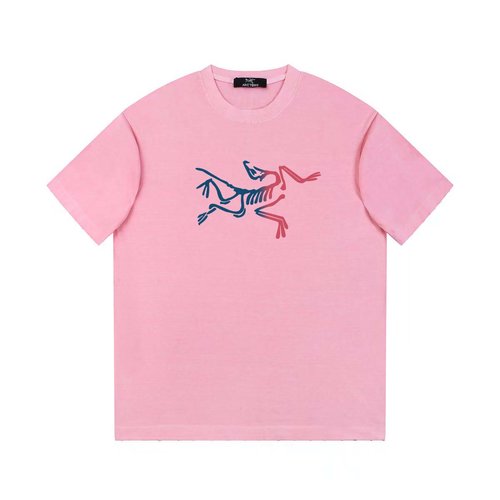 ArcTeryx Cotton Washed Vintage Print T-Shirt in Denim Blue and Pink
