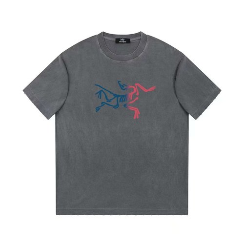 ArcTeryx Cotton Washed Vintage Print T-Shirt in Denim Blue and Gray