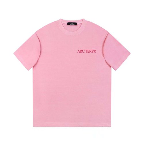 ArcTeryx Cotton Washed Vintage Print T-Shirt in Denim Blue and Gray