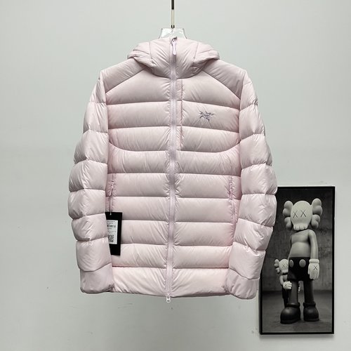 ArcTeryx 90% Goose Down Hooded Rib 2.0 Down Jacket