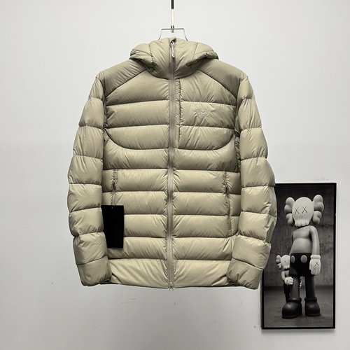 ArcTeryx 90% Goose Down Hooded Rib 2.0 Down Jacket