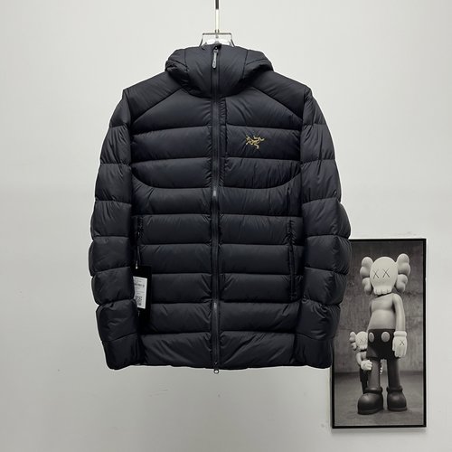 ArcTeryx 90% Goose Down Hooded Rib 2.0 Down Jacket