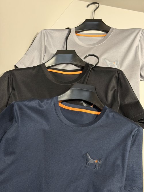 Hermes Round Neck T-Shirt with 3D Horse Embroidery