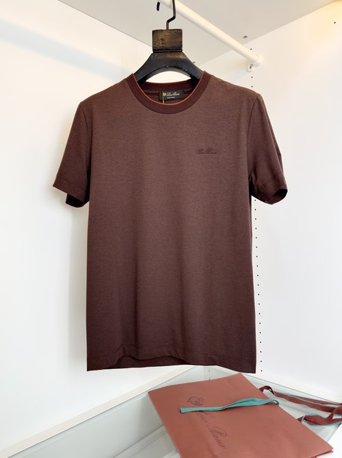 Loro Piana Durable Minimalist Collar Contrast T-Shirt