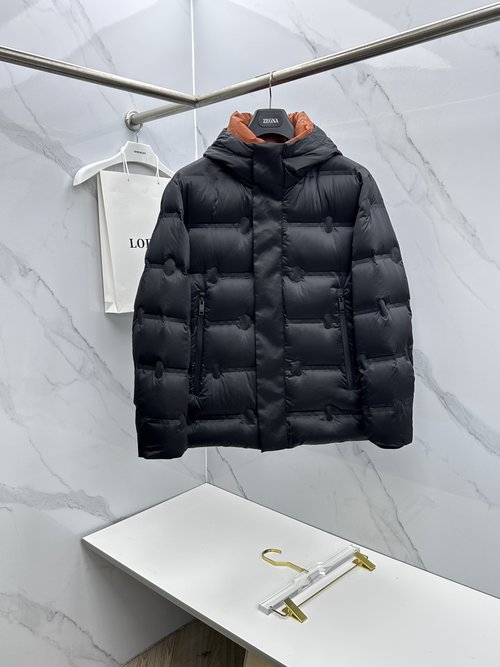 Zegna Fashionable Down Jacket Filled with 90% White Duck Down
