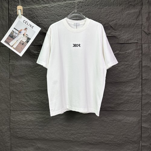Dior Ripped Embroidered Logo T-Shirts