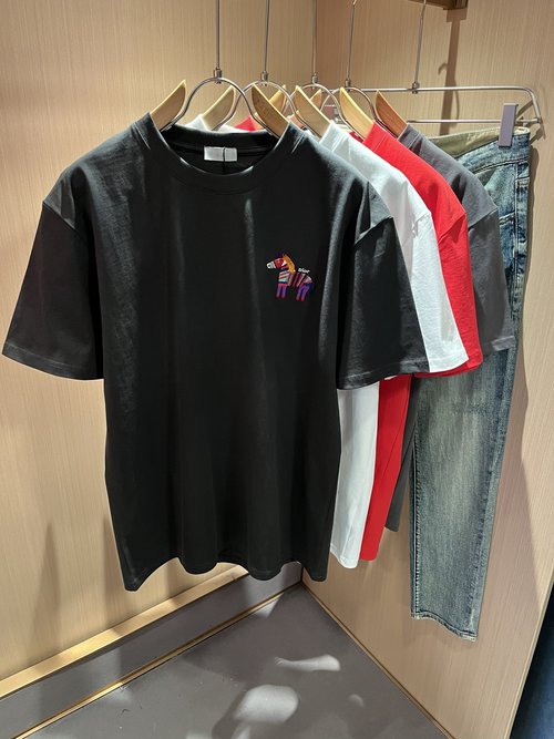 Dior Classic Solid-color Short-sleeved T-shirt with Logo Embroidery