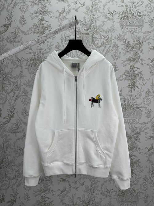 Dior Loose Zip Hoodie with Pony Embroidery