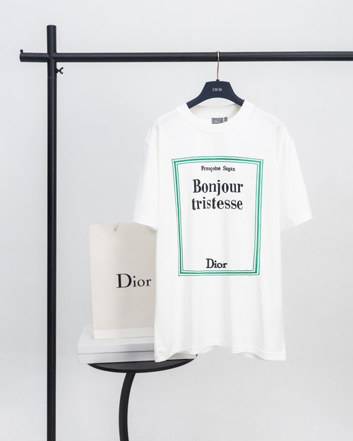 Dior Embroidered T-shirt Inspired by Literary Cover