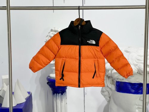 The North Face Kids Premium Goose Down Jacket 1700 Fill Power RDS Certified Packable