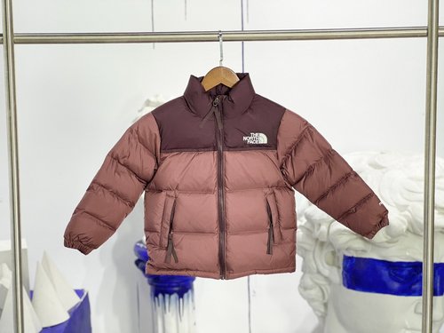 The North Face Kids Premium Goose Down Packable Puffer Jacket